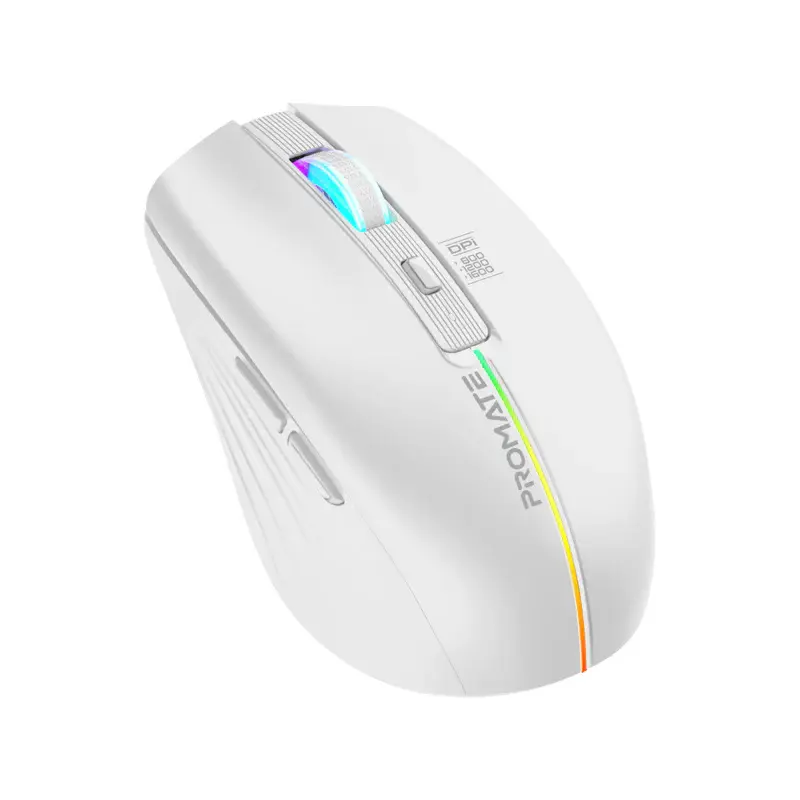 1200-Kitt.webp