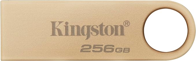 Kingston 256GB Flash DTSE9G3