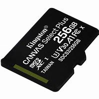 Kingston 256GB SD Memory SDCS2