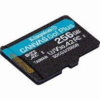 Kingston 256GB Canvas Go! Plus microSD