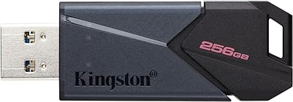 Kingston 256GB Flash DTXON