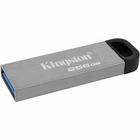 Kingston 256GB Flash DTKN