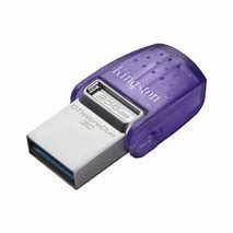 Kingston 256GB Flash DTDUO3CG3