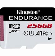 Kingston 256GB High-Endurance microSD Cards SDCE