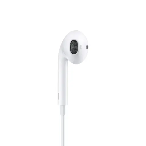 Apple	Audio	MWTY3	Apple EarPods with lightning Connector 